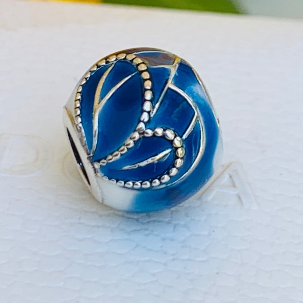 💕💕 Pandora Rare Charm💕💕